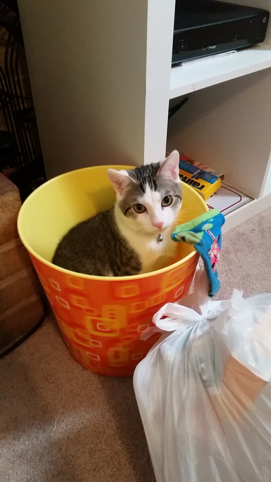 马赛，皮克定义的唯一性