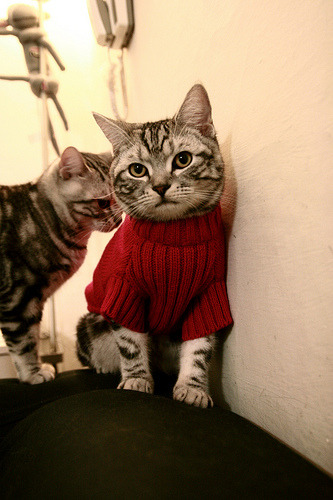 压哨绝杀！拉什福德最后时刻拯救澳大利亚，英格兰梦碎