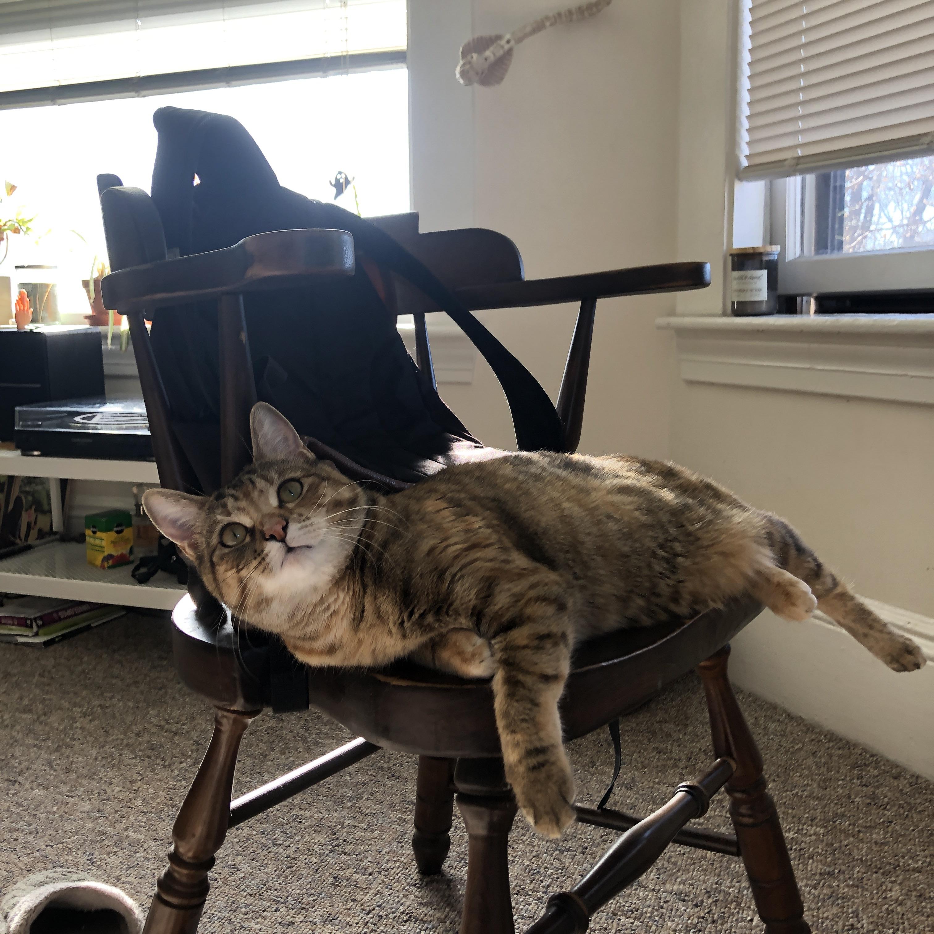 爵士节奏掌控广厦防线，乔治连击得分拉开胜利鸿沟