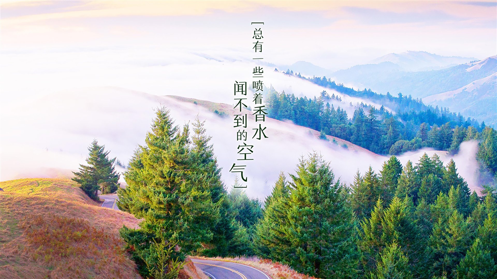 棋盘终局,哈弗茨—子定乾坤,奥运征途的关键先生在此诞生