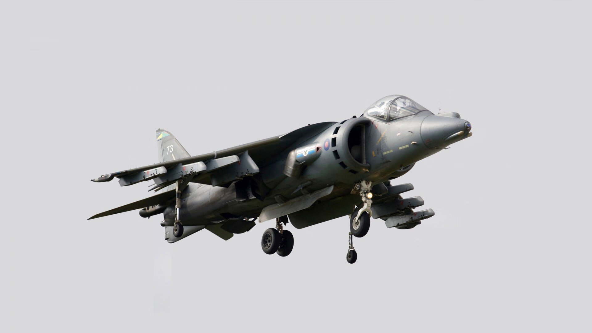 新王以铁骑踏碎疆场，权杖之下图腾永固