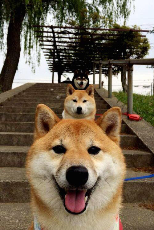 双重时空,当浙江队轻取热火,英格拉姆成了唯一的关键先生