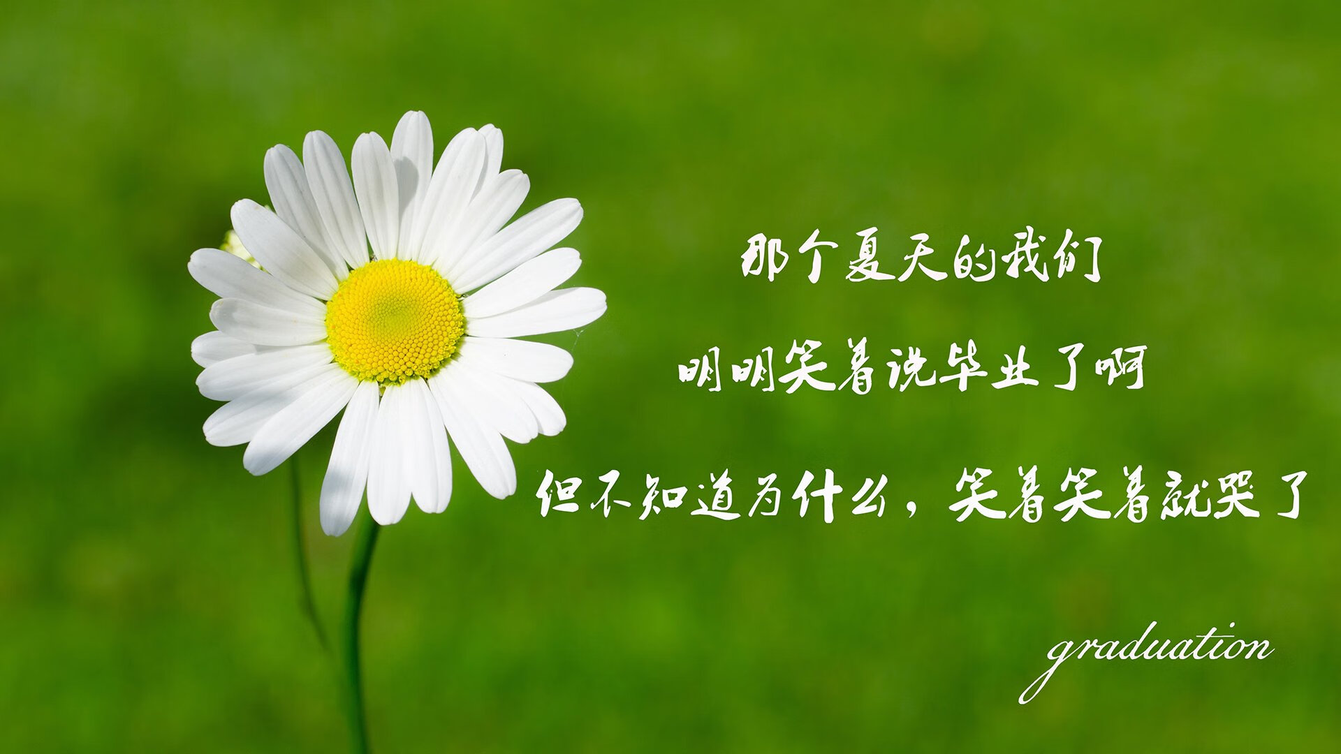 桑巴闪电撕裂绿色长城，费利克斯的疾速宣言，巴西用反击为2026世界杯H组定调